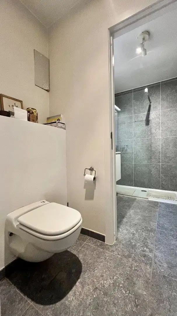 Groot appartement van 96m² met 95 m² terras foto 15