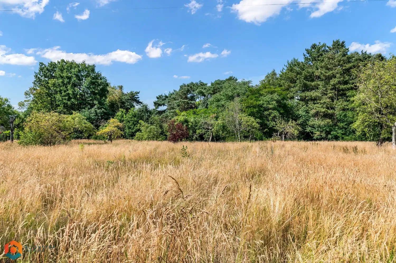 Bouwgrond van 1070 m² voor open bebouwing te Tessenderlo-Ham foto 3