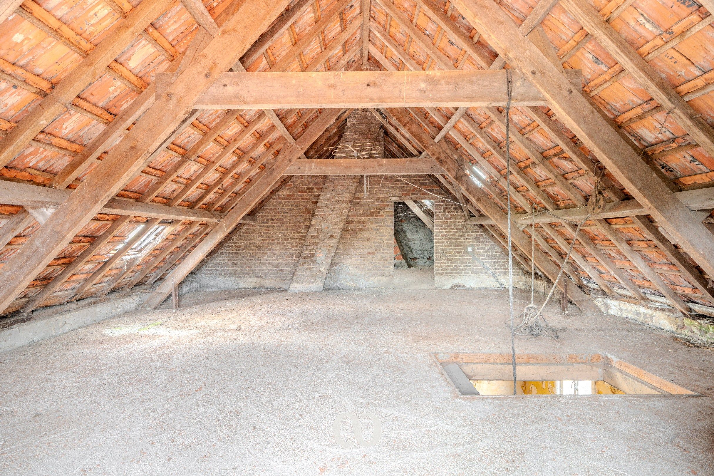 Pastorijwoning met tal van bijgebouwen foto 8