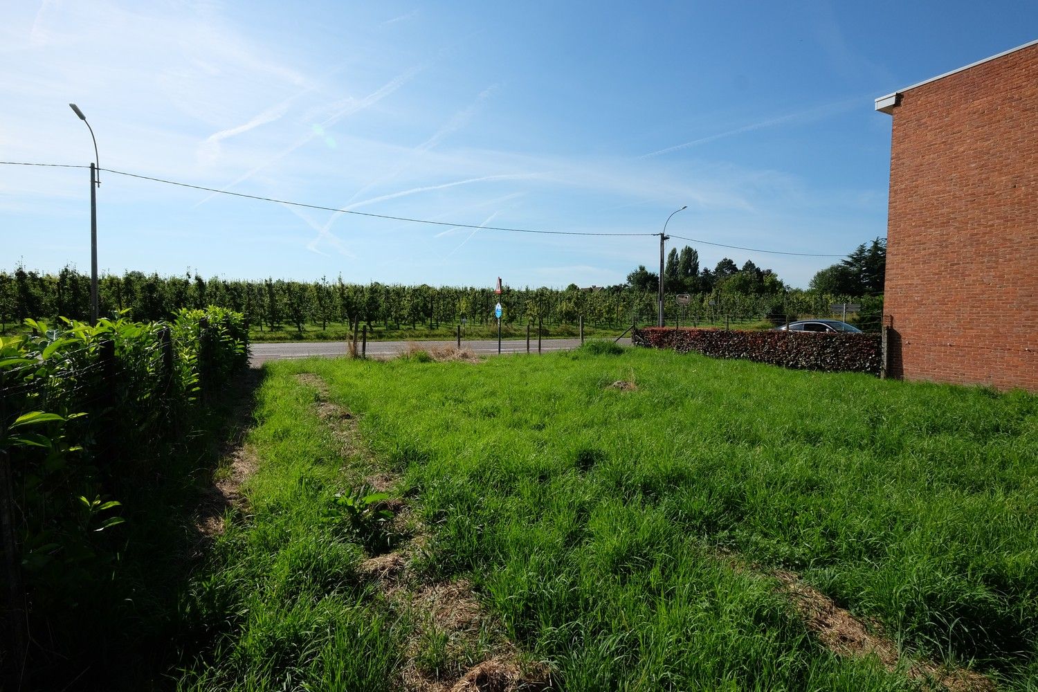 Te Koop: Perceel op Uitstekende Locatie in Ordingen (tussen Sint-Truiden en Zepperen) foto 5