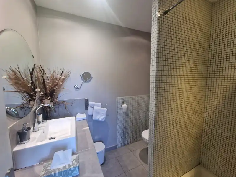 Villa omgevormd tot B&B met vijf mooie kamers en studio in een prachtige en groene omgeving in Carcasonne foto 31