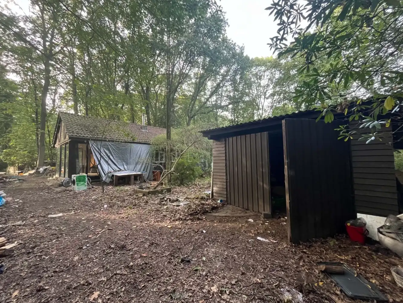 Volledig te renoveren woning in bosrijke omgeving te Essen foto 3