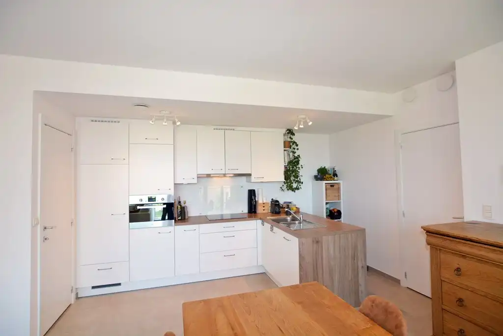 Modern, energiezuinig appartement met 2 slpks, terras, autostaanplaats en kelderberging. foto 8