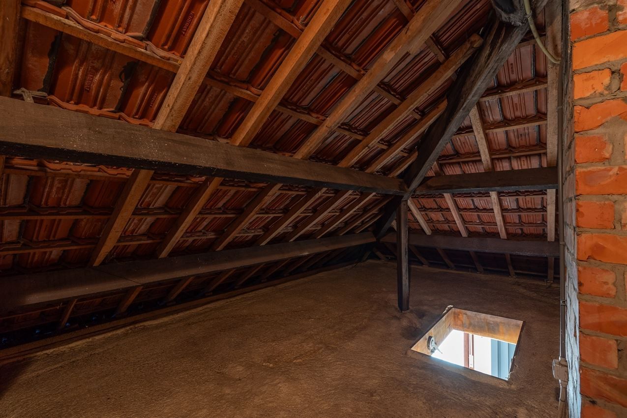 verborgen parel in het groen foto 27