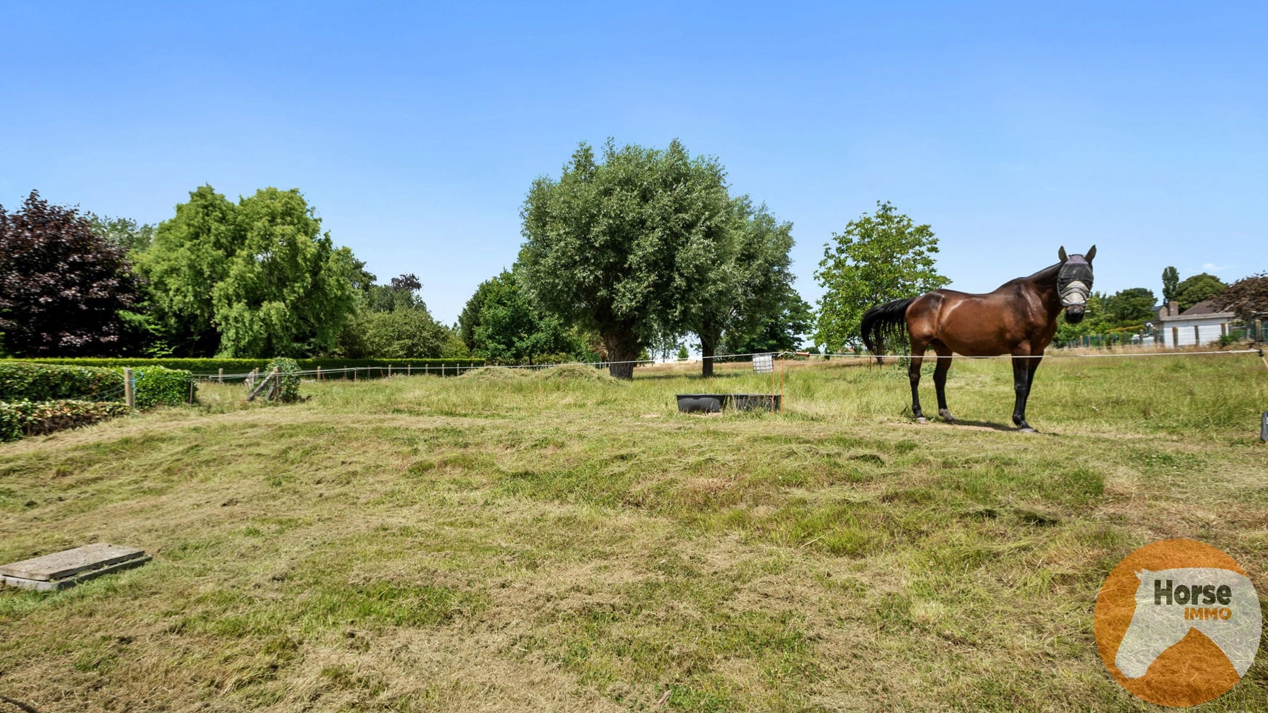 MOERBEKE - Instapklare woning met aanpalende weide en stallen foto 18