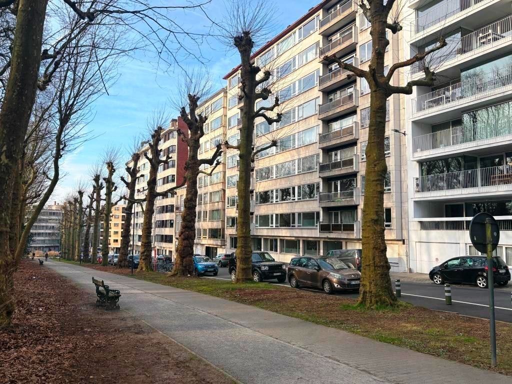 Parkzicht-appartement met drie slaapkamers en twee terrassen. foto 2