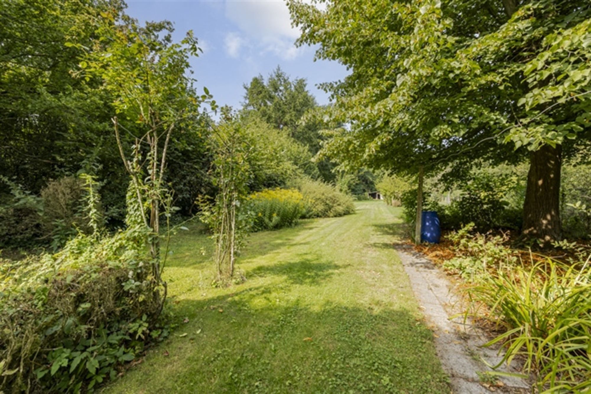 Landhuis met bijgebouwen op 3835 m² op rustige ligging foto 25