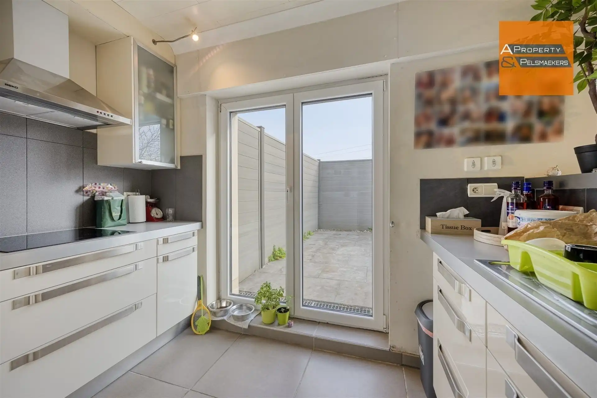 Kangoeroewoning foto 4