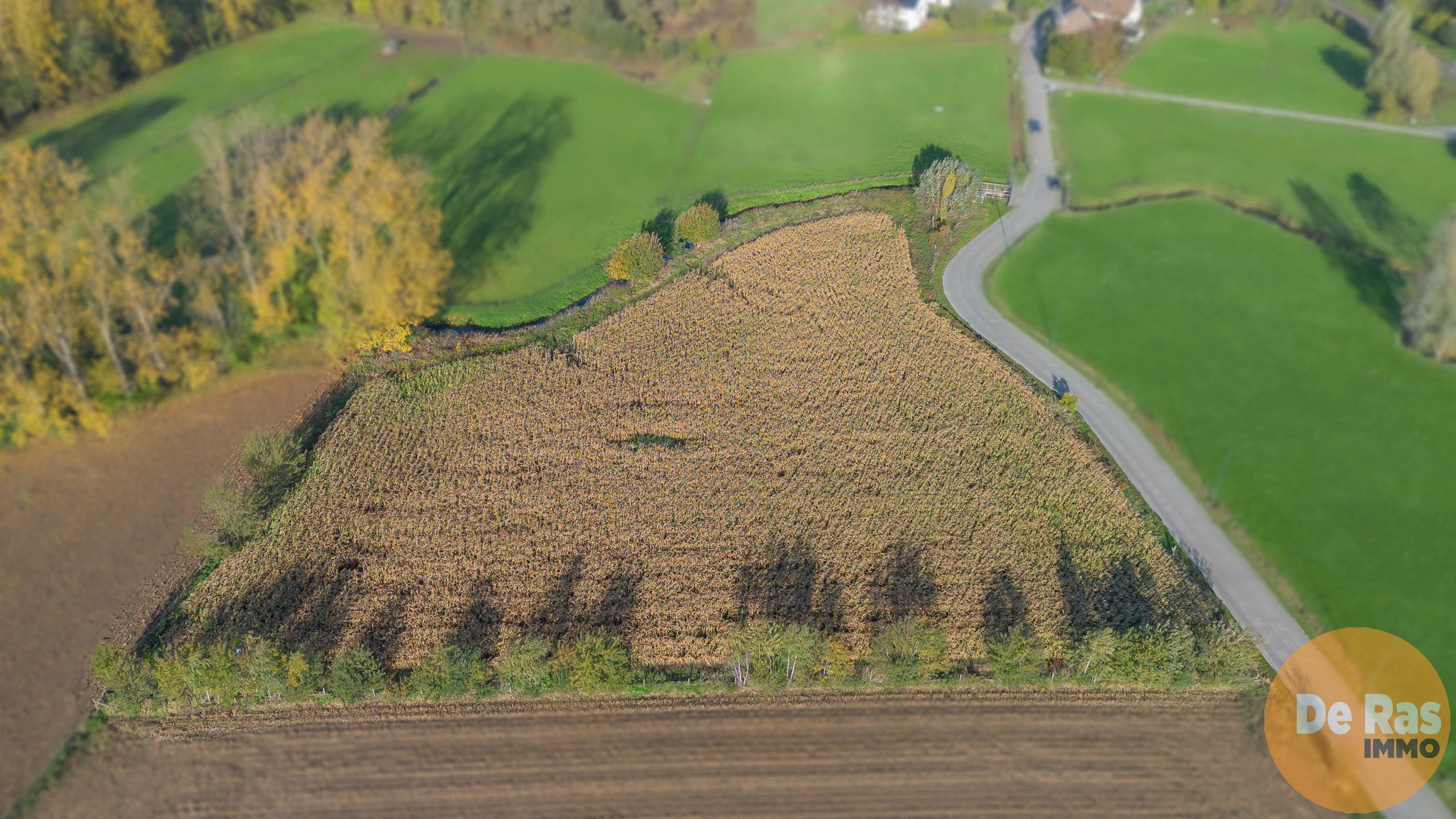 AALST - Landbouwgrond/weide 81a foto 4