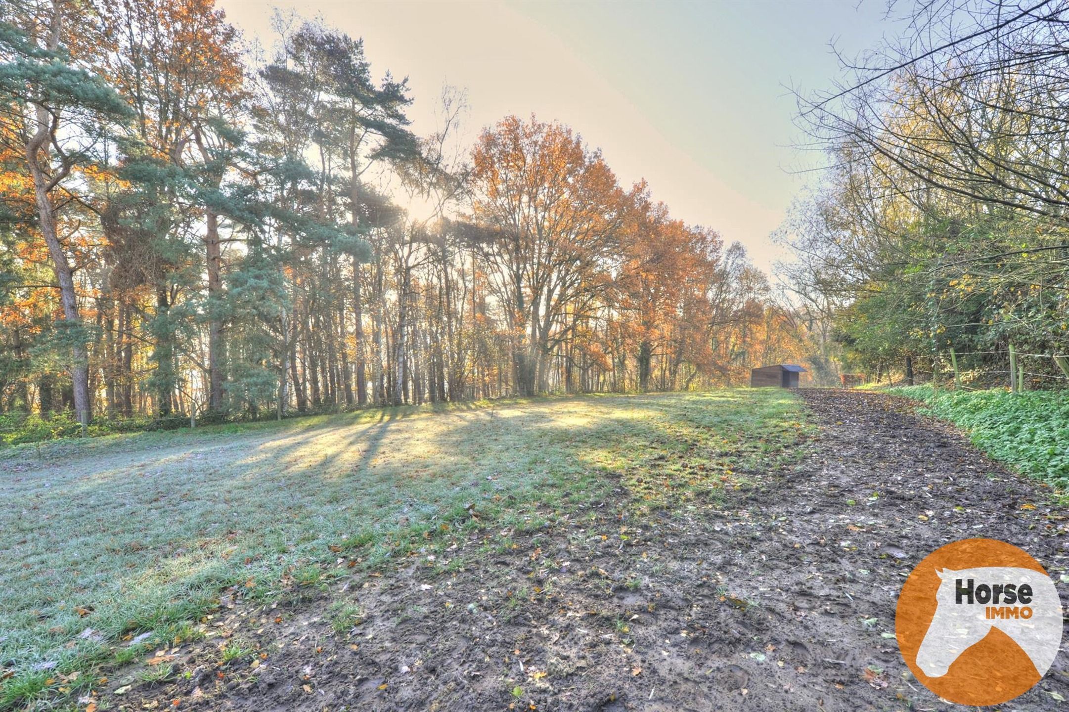 HULDENBERG - Woning met stallen en piste foto 15