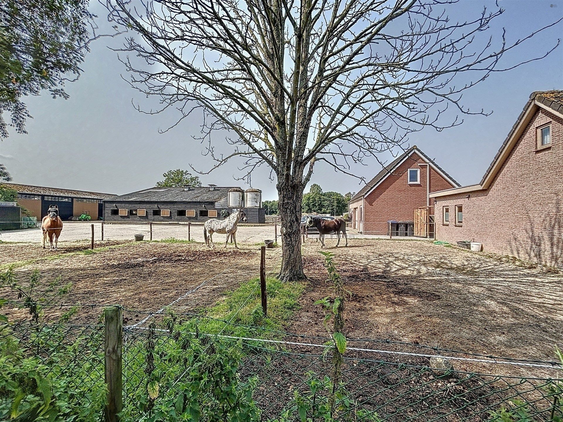 PRACHTIG GELEGEN HOEVE met bijgebouw, paardenstallen, binnenpiste en weiden op 18.385m² foto {{pictureIndex}}