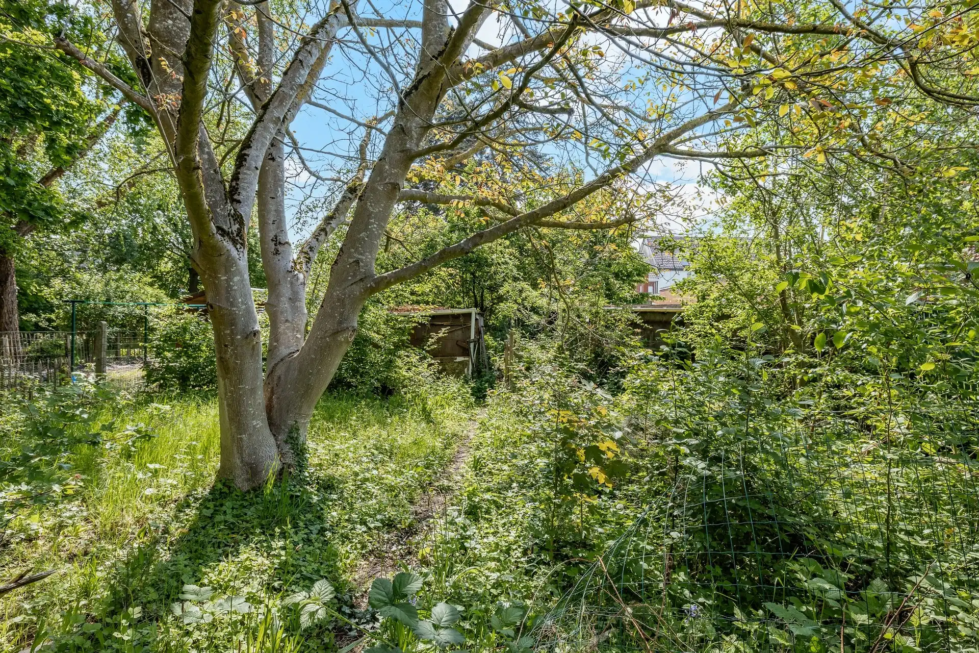 Halfopen bebouwing met enorm potentieel op een perceel van maar liefst 1.050 m² foto 25