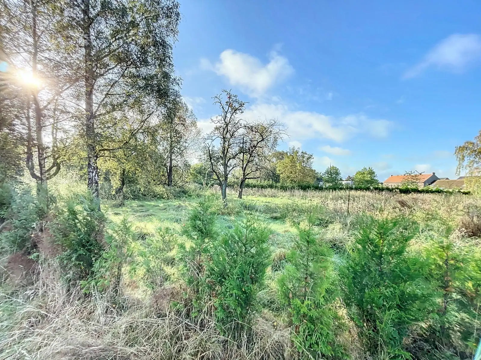 Hoofdfoto van de publicatie: Zeer ruim huis met praktijk/pol. ruimte op terrein van 40a.