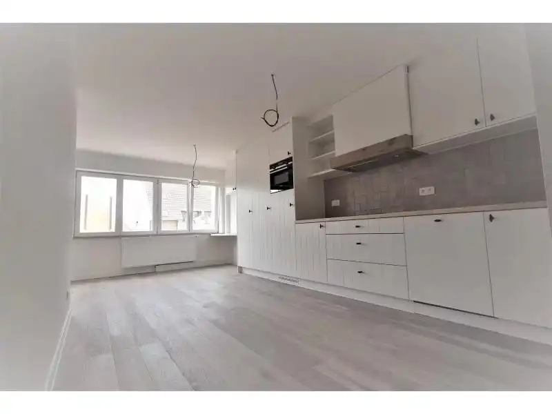 Gerenoveerd éénslaapkamerappartement foto 3