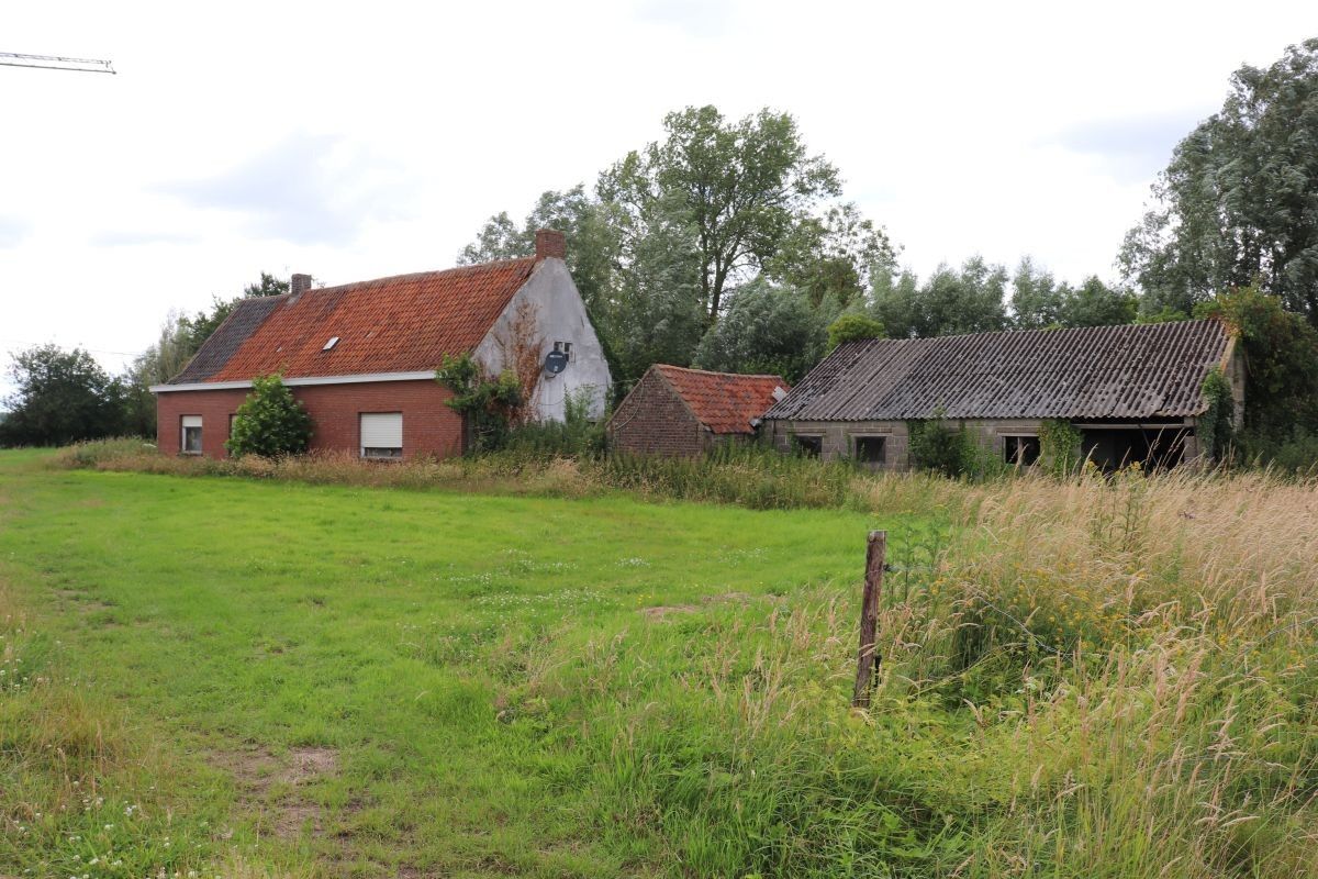 Mooi gelegen te verbouwen hoevetje te koop te Lievegem op 6.000 m² foto 3