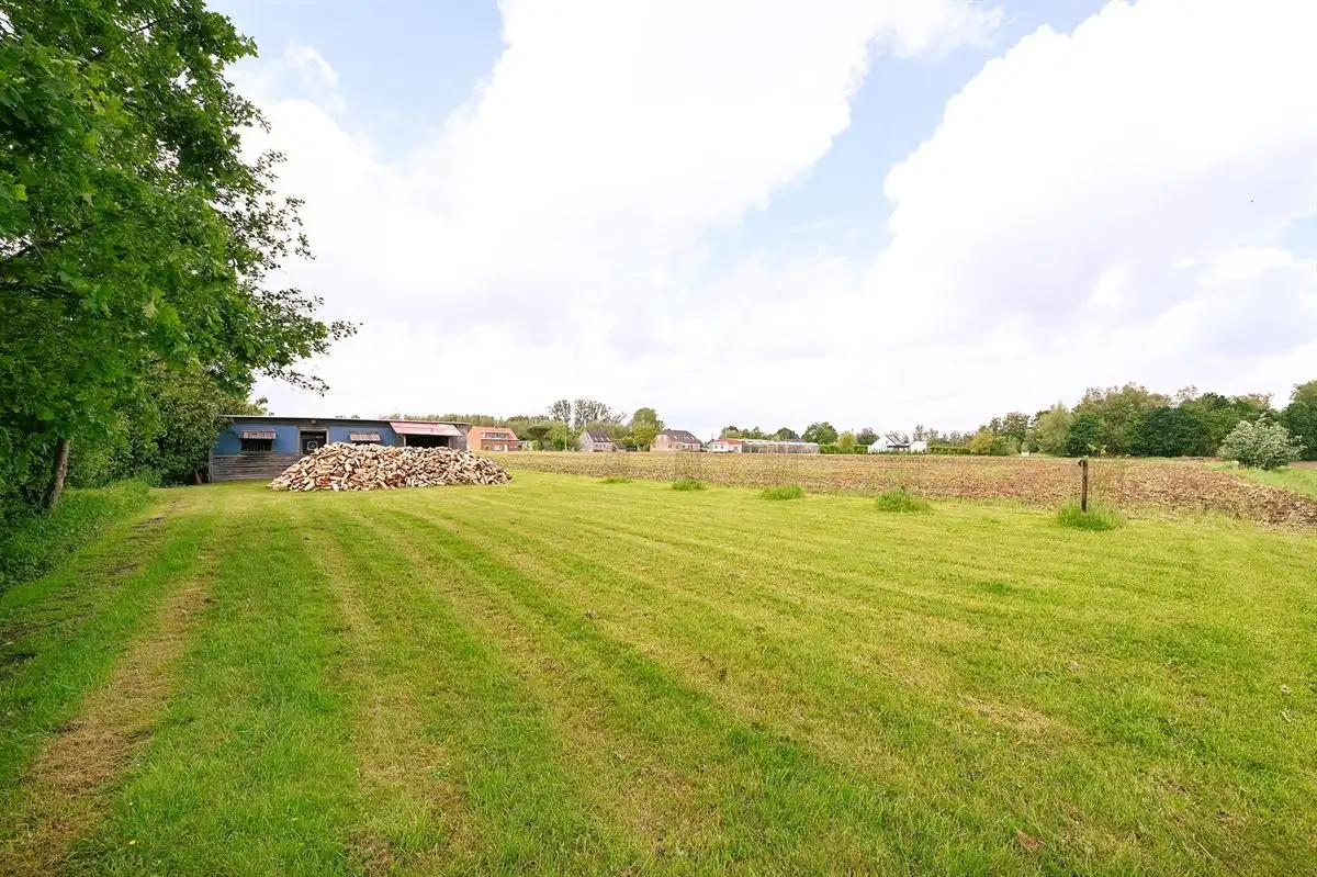 Supergezellige woning met 2 weilanden op grens Lint/Boechout/Lier foto 36