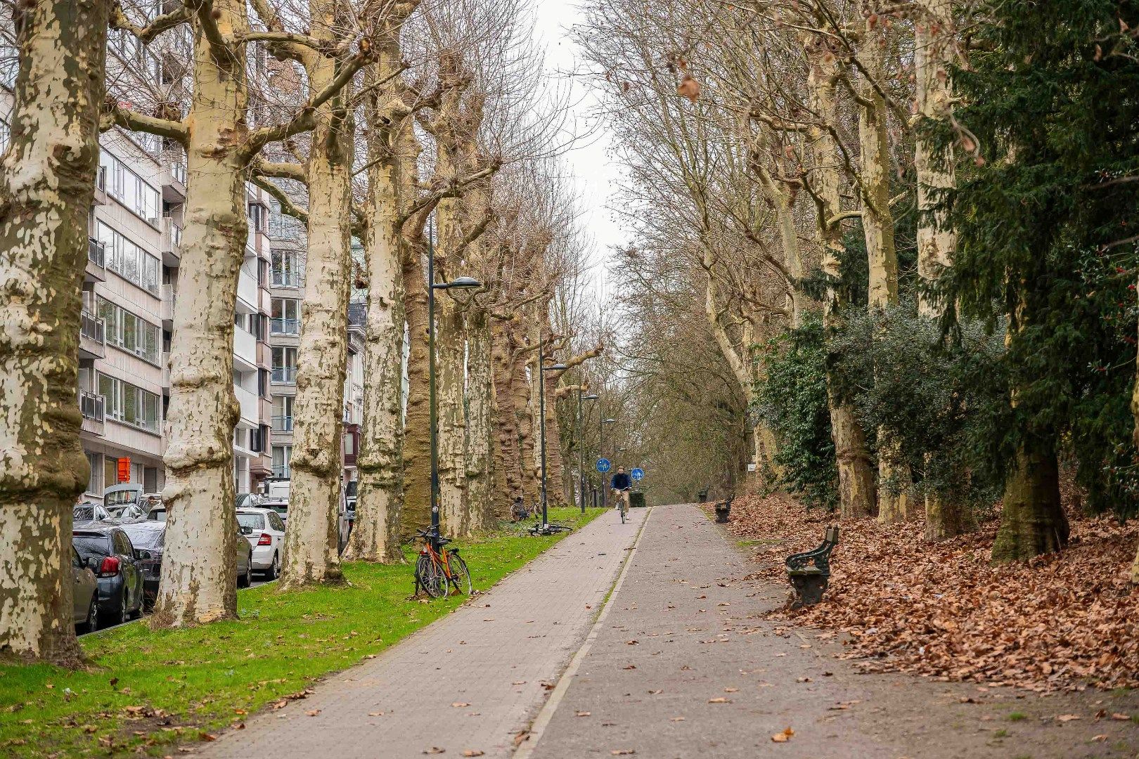 Stijlvol wonen in hartje Gent – met alles om de hoek foto 3