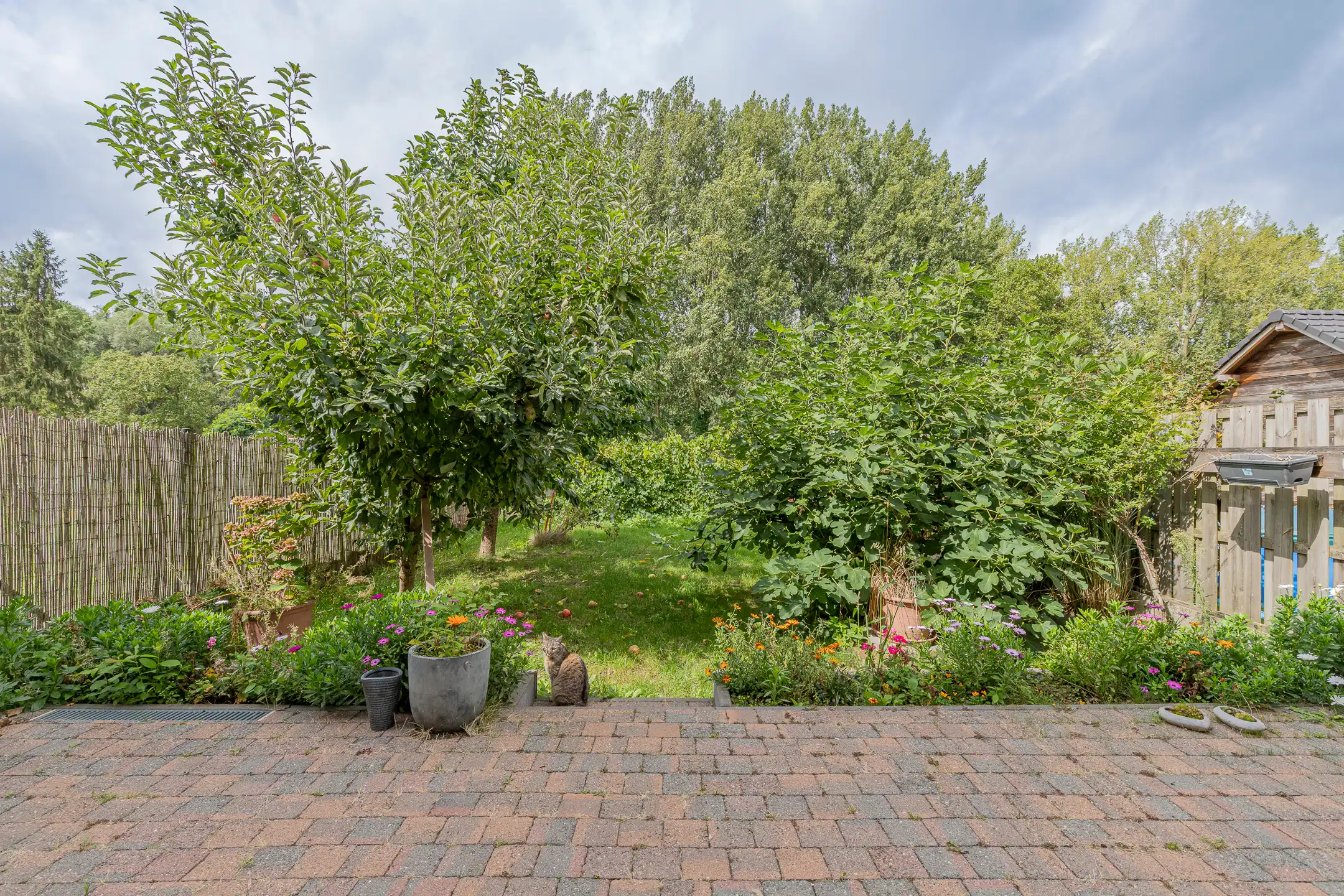 ERPE-MERE - Recente woning op uitstekende locatie foto 24