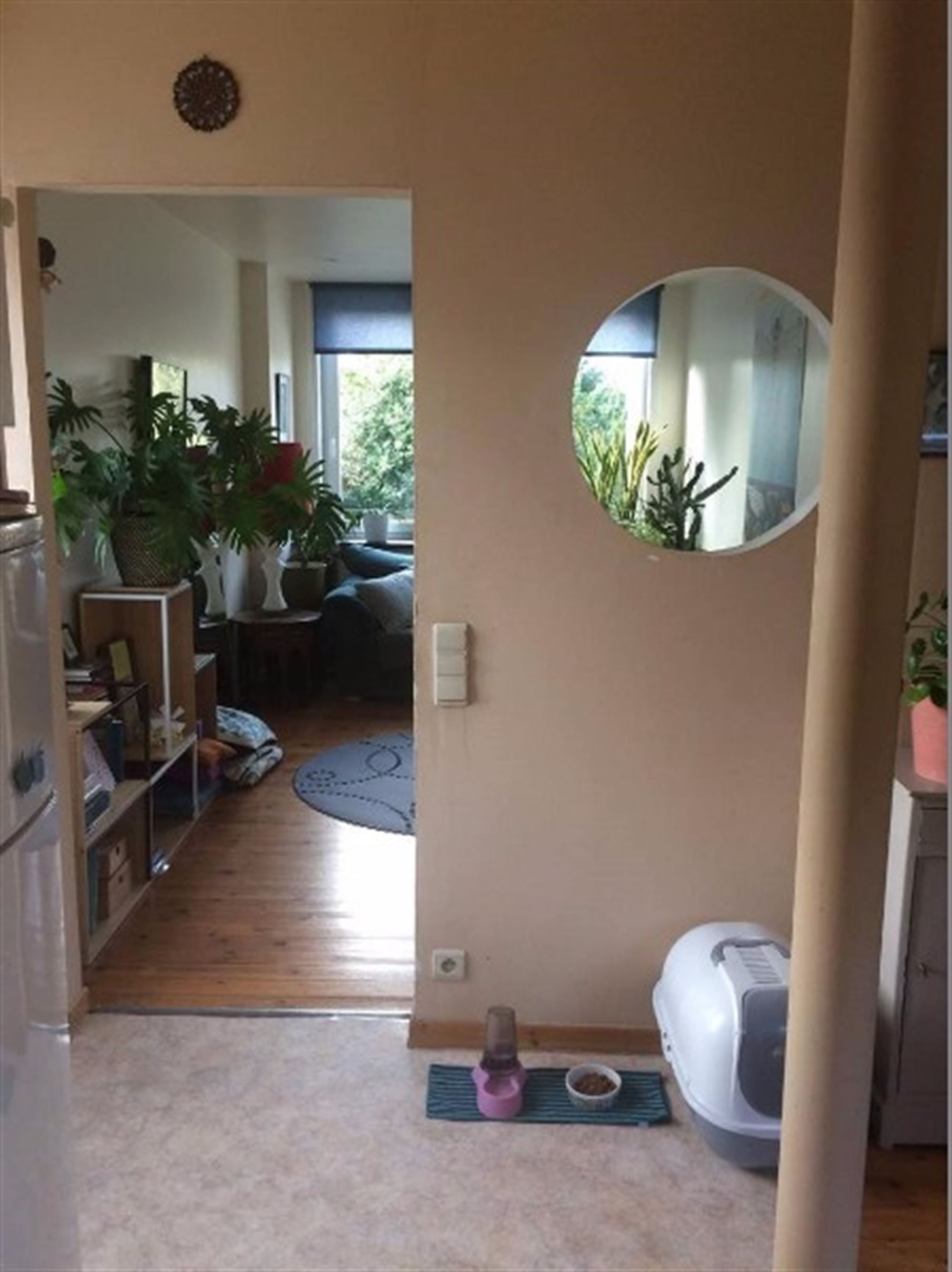 Gezellig appartement foto 13