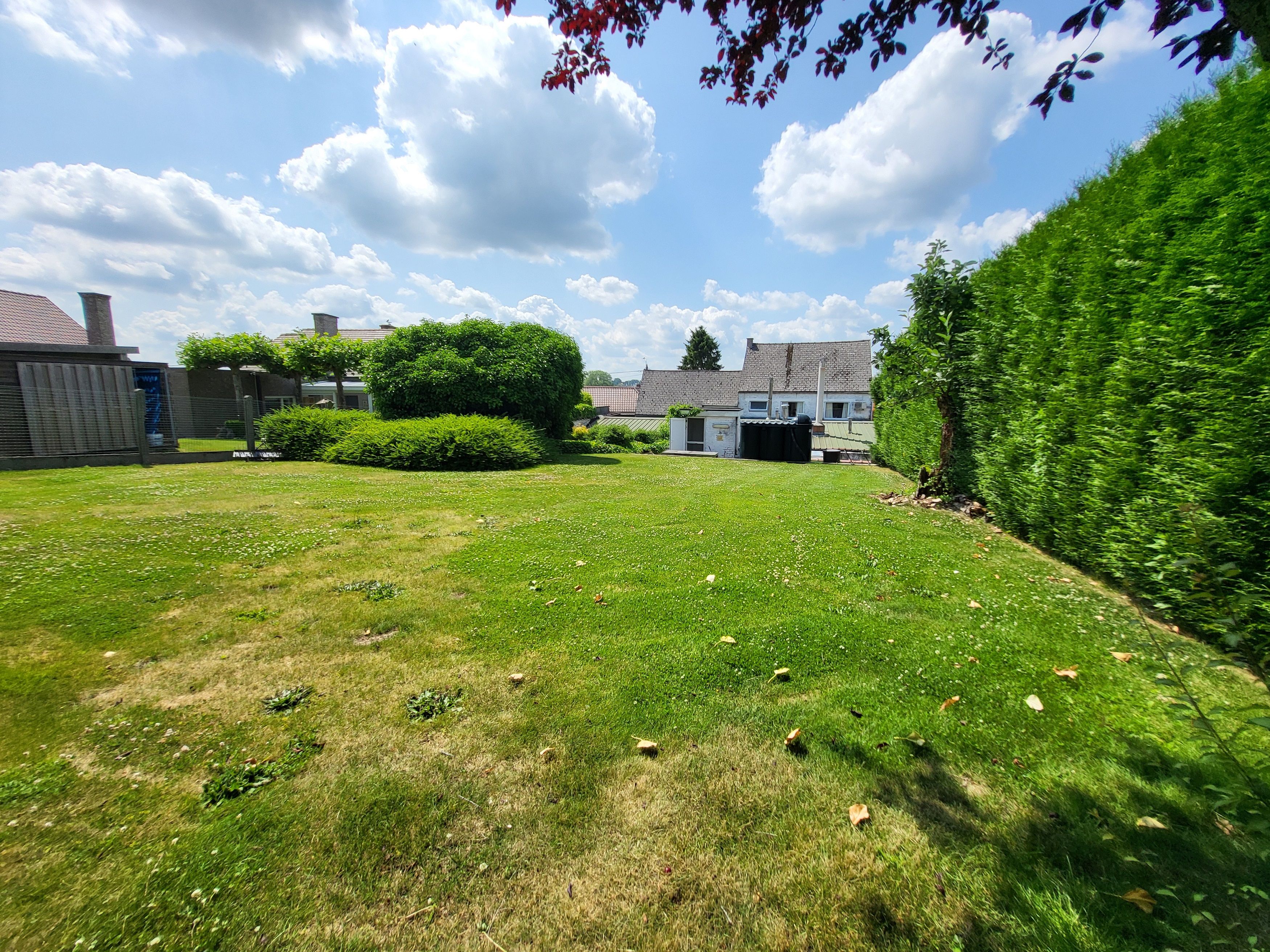 In hartje Sint- Maria-Lierde bevindt zich dit uniek  Handelspand met mogelijkheid tot woonst en mooie grote tuin!  foto 30