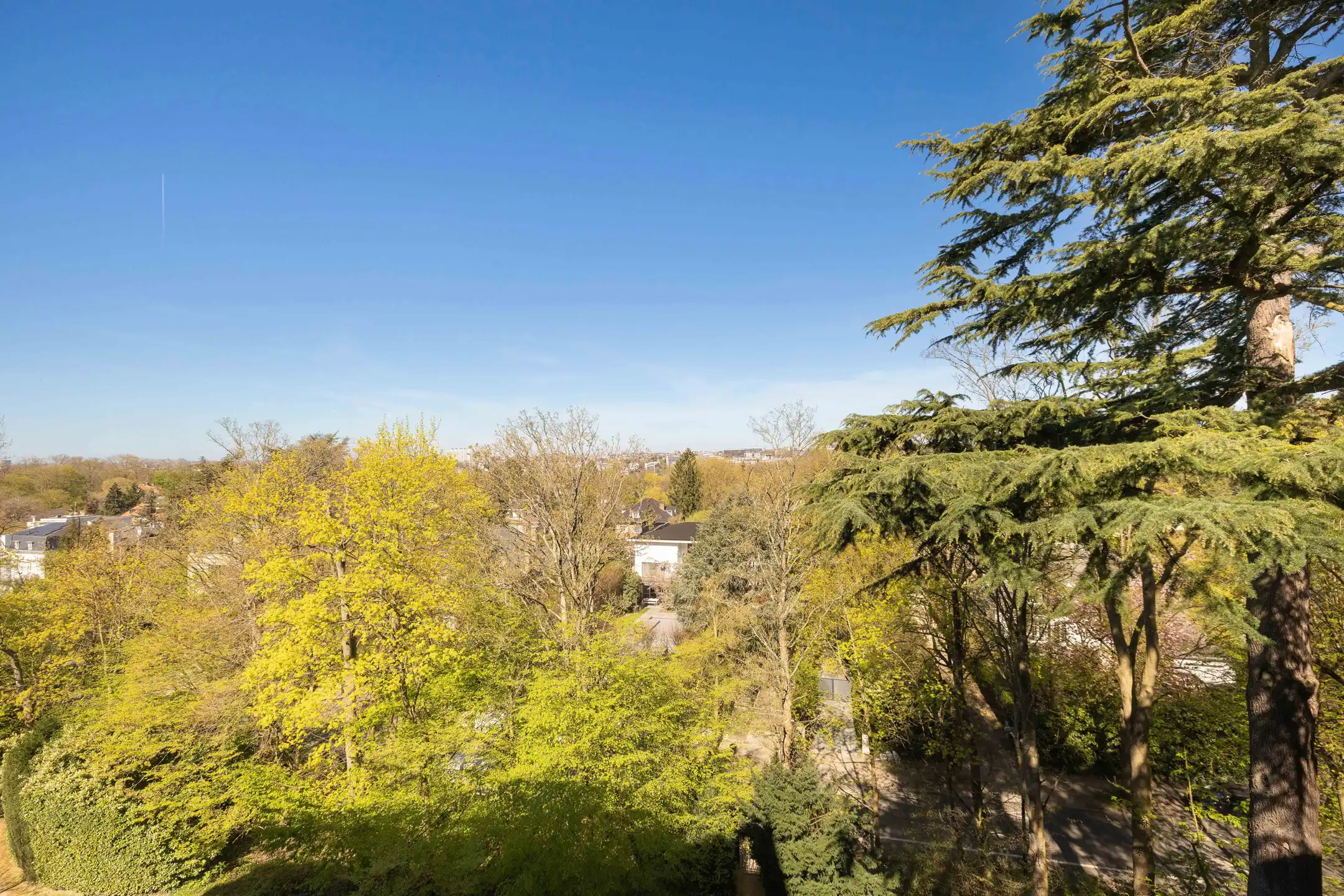 Ukkel Observatorium, wonen in het groen op hoogte foto 22