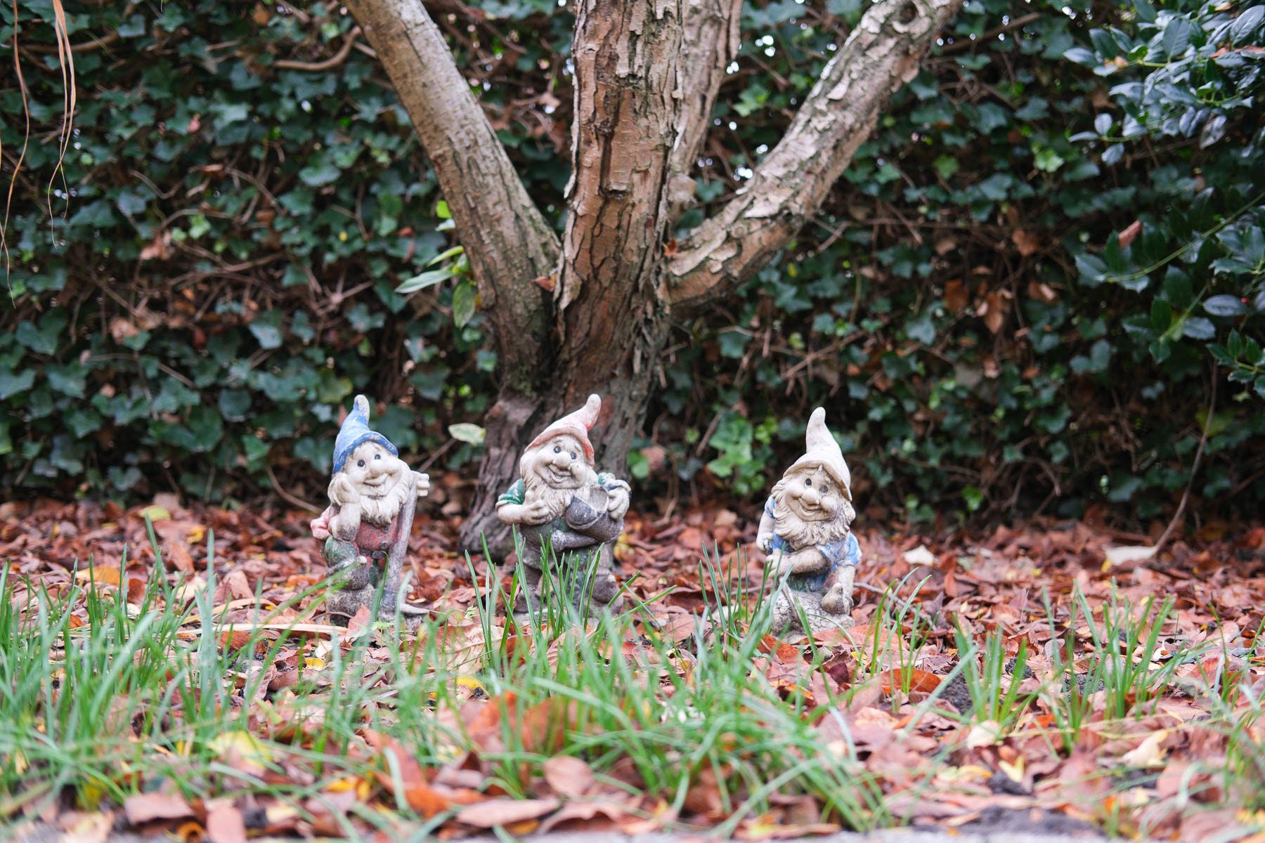 Huis te koop foto 28