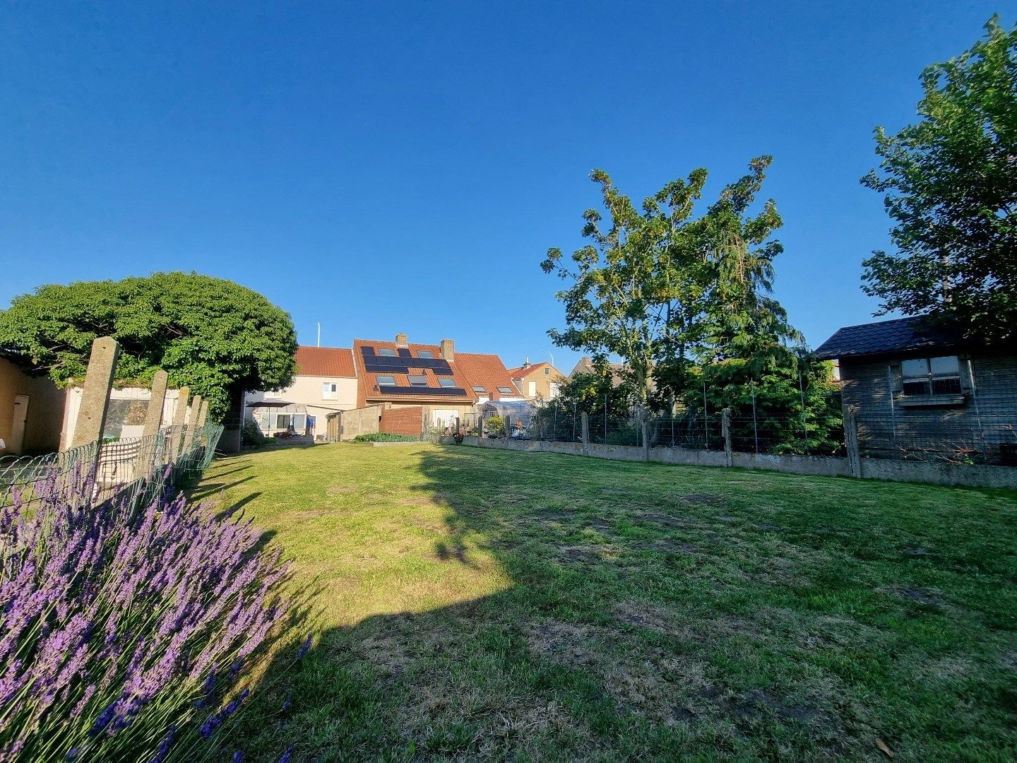 Te renoveren woning met mooie gevelbreedte (8 m) in het landelijke Lissewege foto 10