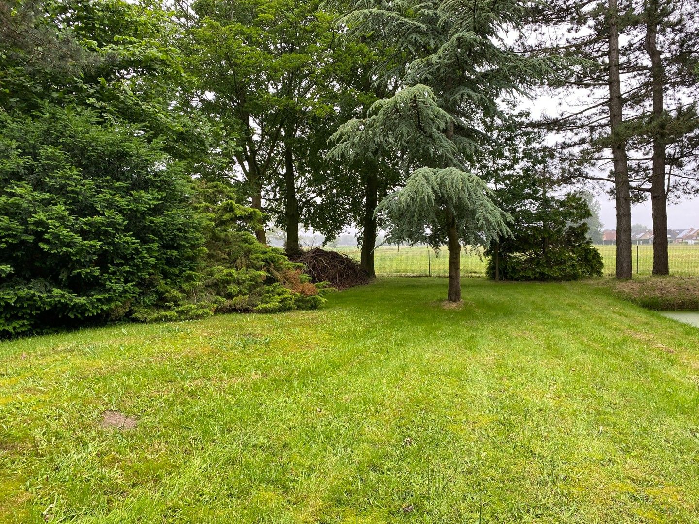 Hoeve met stallingen, bijhuis en grote schuur op een ruim perceel in Lembeke foto 6