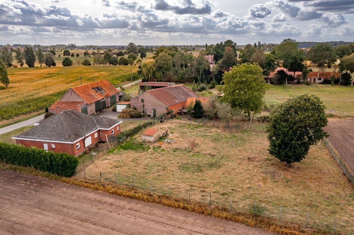 Hoeve op circa 10 ha te koop te Maldegem foto 9