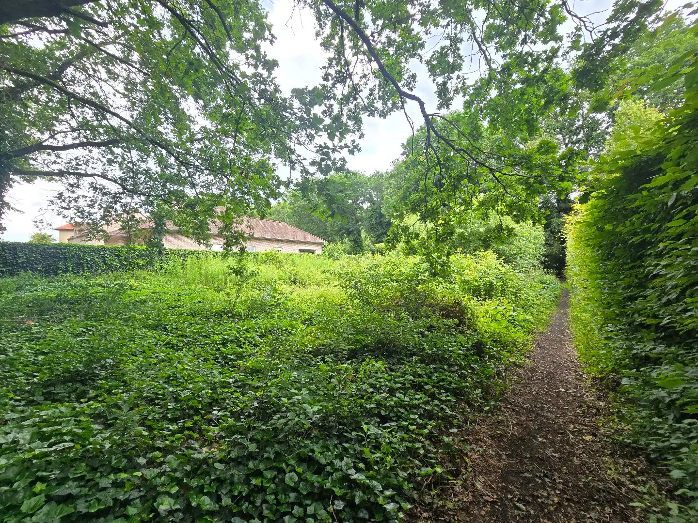 Bouwgrond voor OB, 9a16ca, met zicht op groen foto 7