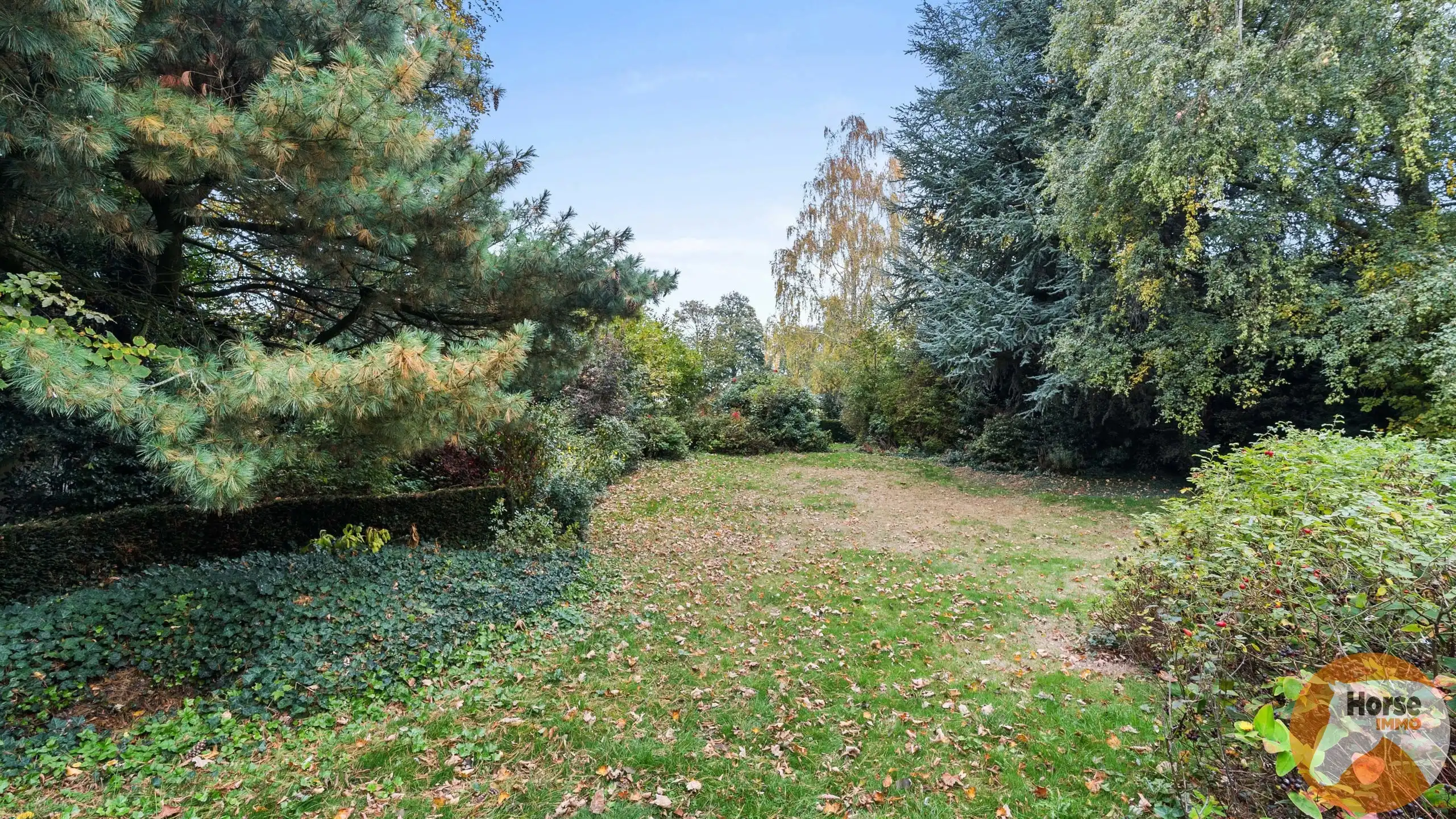 PECQ - Ruime gezinswoning met bijgebouw op +/- 44are  foto 31