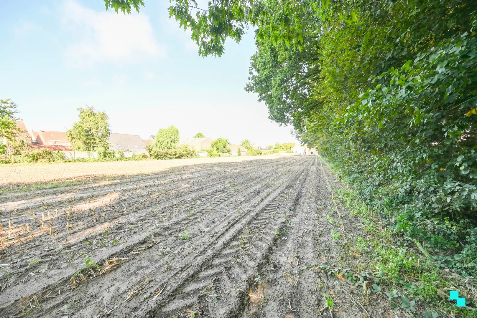 Exclusieve bouwgronden in residentiële laan te Wielsbeke foto 10