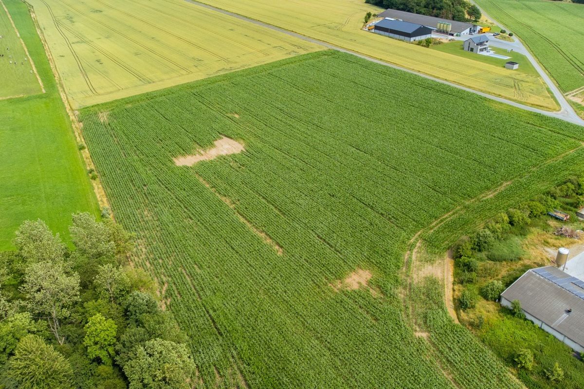 Vierkantshoeve met veestallen op 12,97 ha te koop te Ohey Perwez-Haillot (Condroz) foto 11