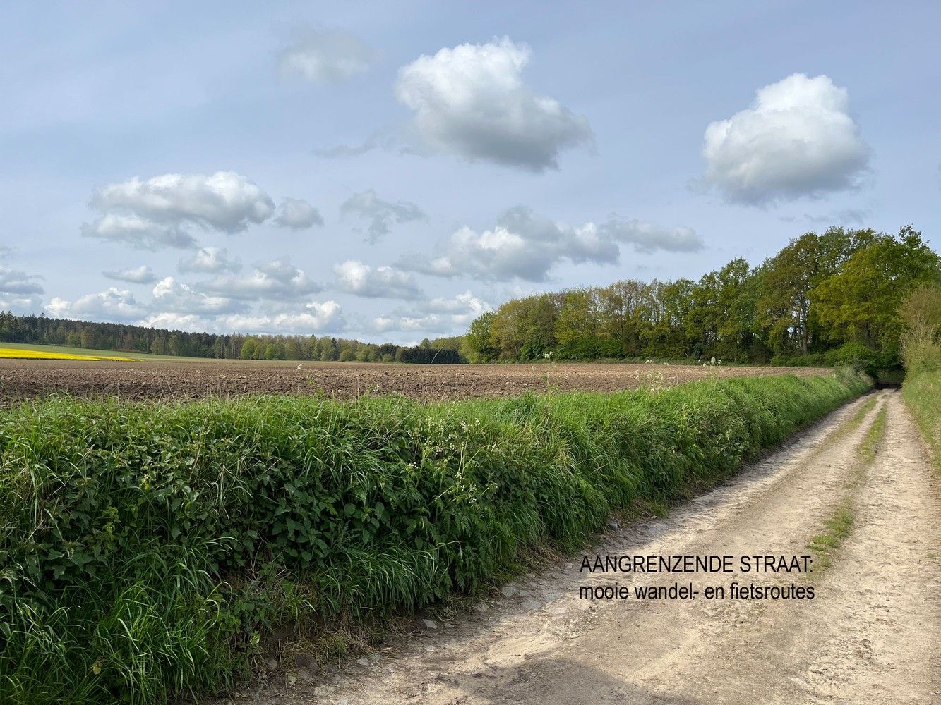 zeer rustige ligging vlakbij MEERDAALWOUD foto 6