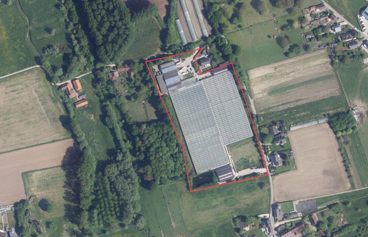 Groot serrebedrijf te koop te Lennik foto 10