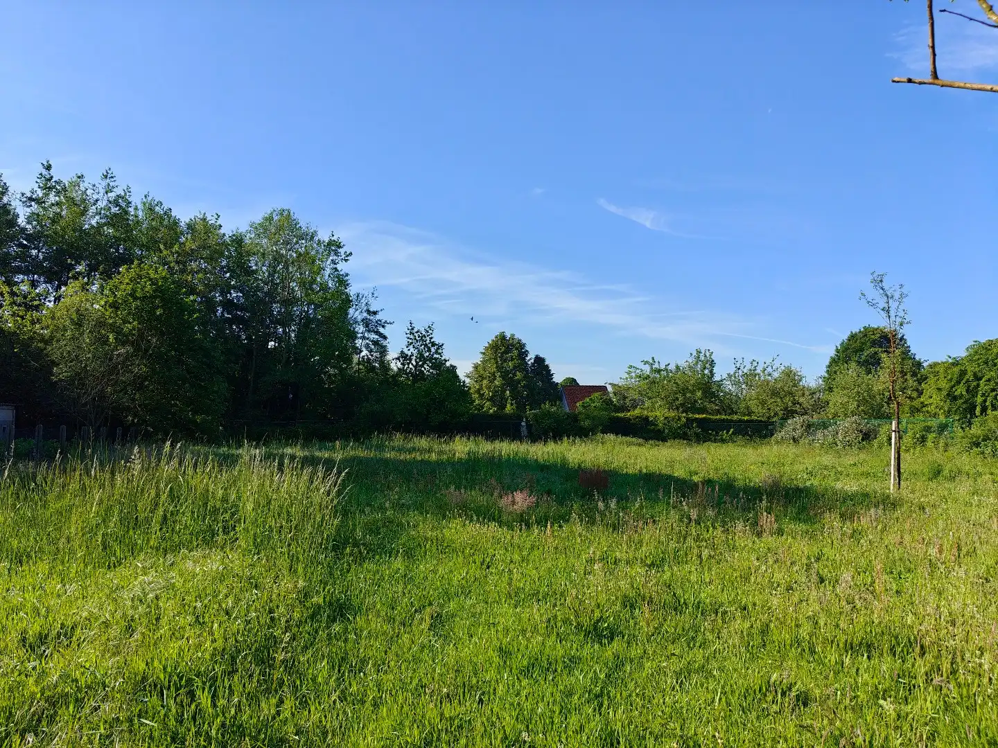 Ruime bouwgrond van 2.292 m² voor een open bebouwing!  foto 4