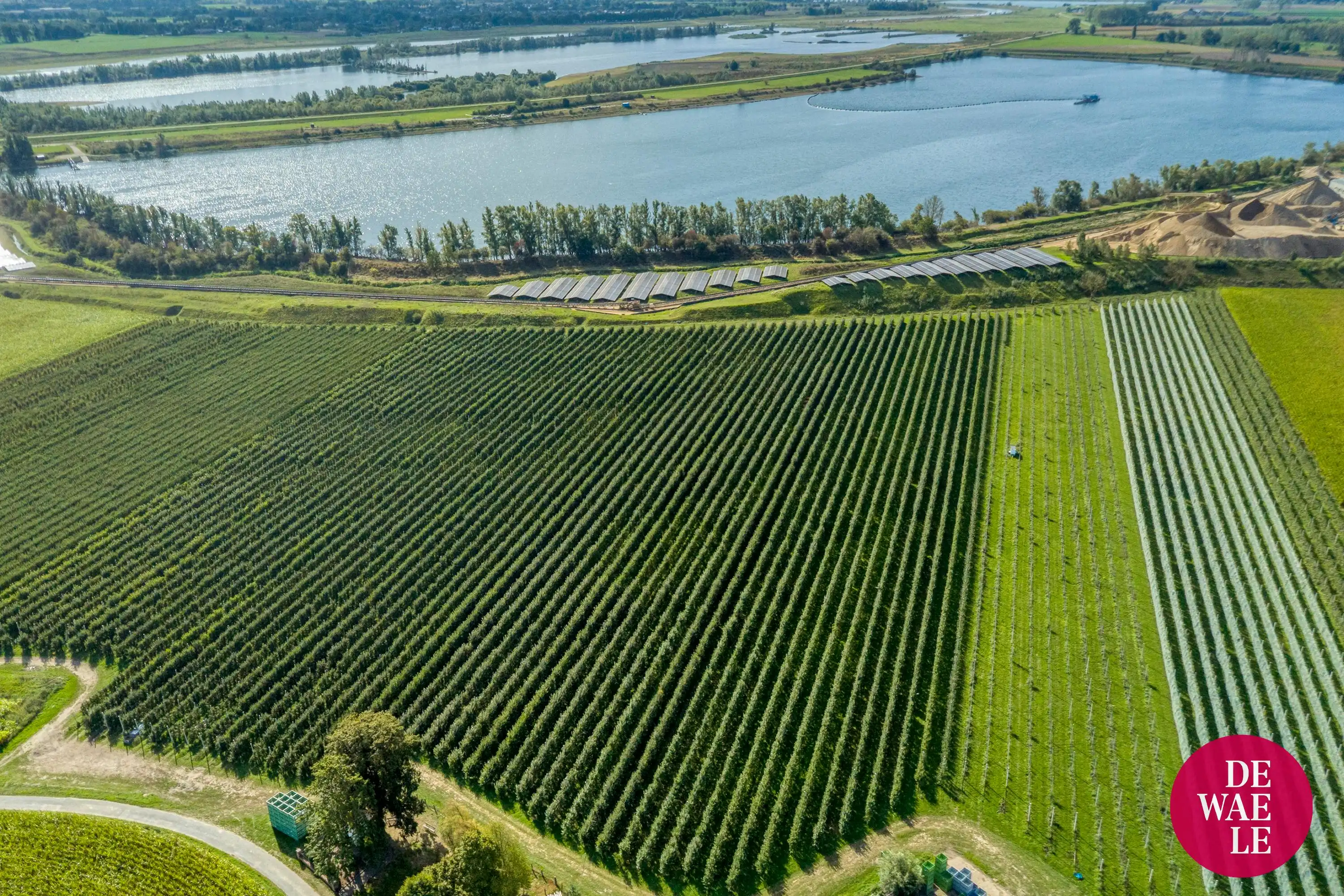 Bouwgrond halfopen bebouwing te koop in Elen 705 m² foto 4