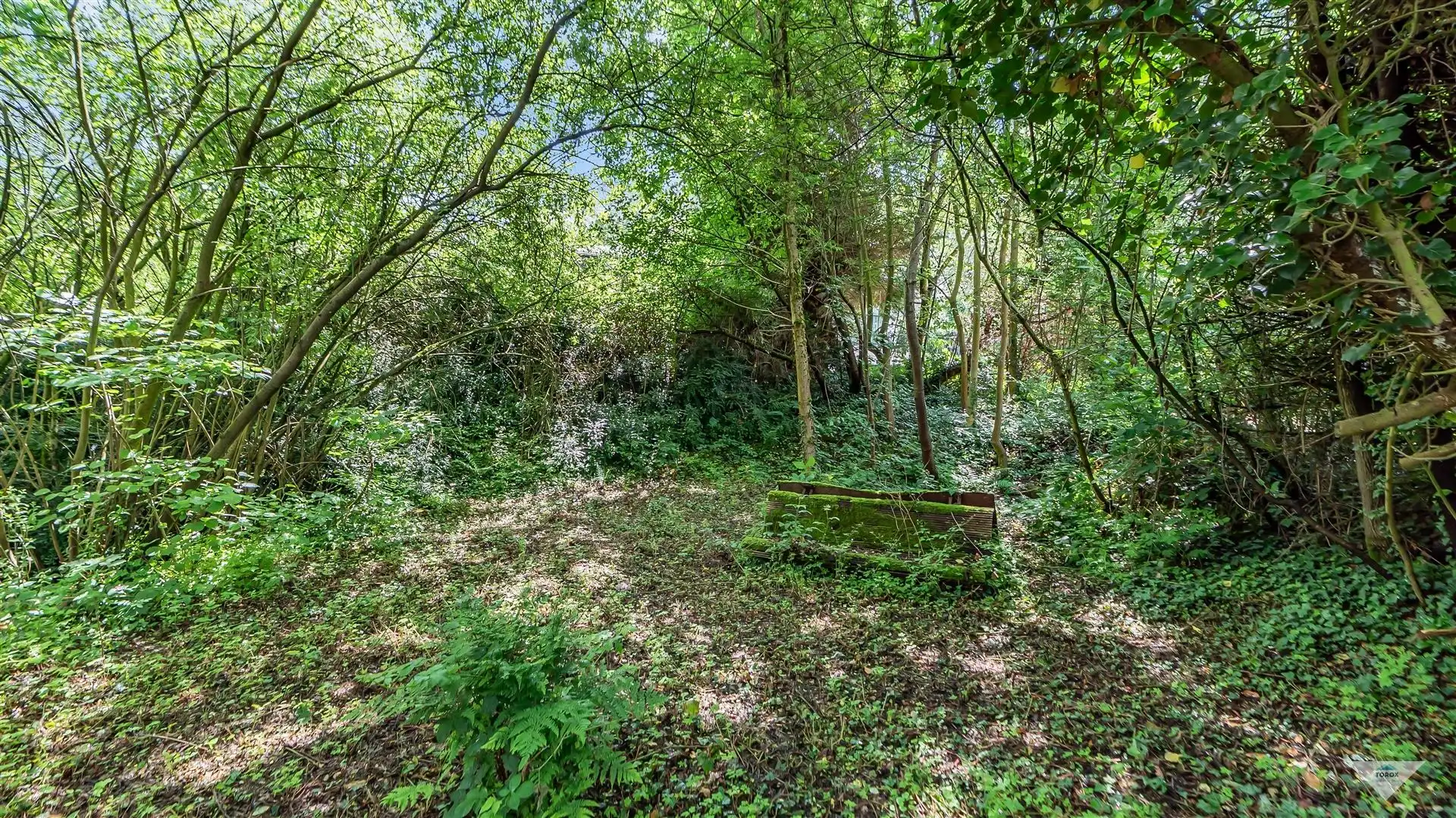 Woning met binnenzwembad en sauna in natuurgebied! foto 30