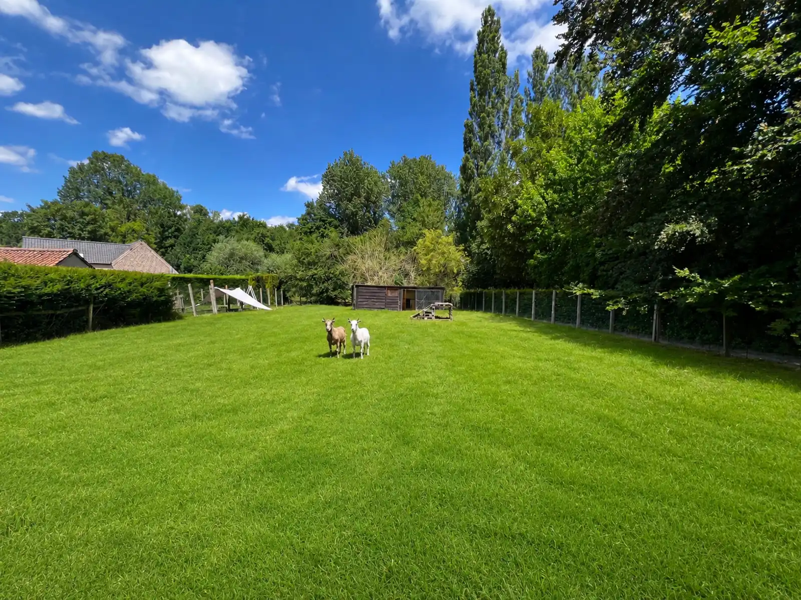 Zeer ruime woning met grote tuin en vrij zicht. foto 3