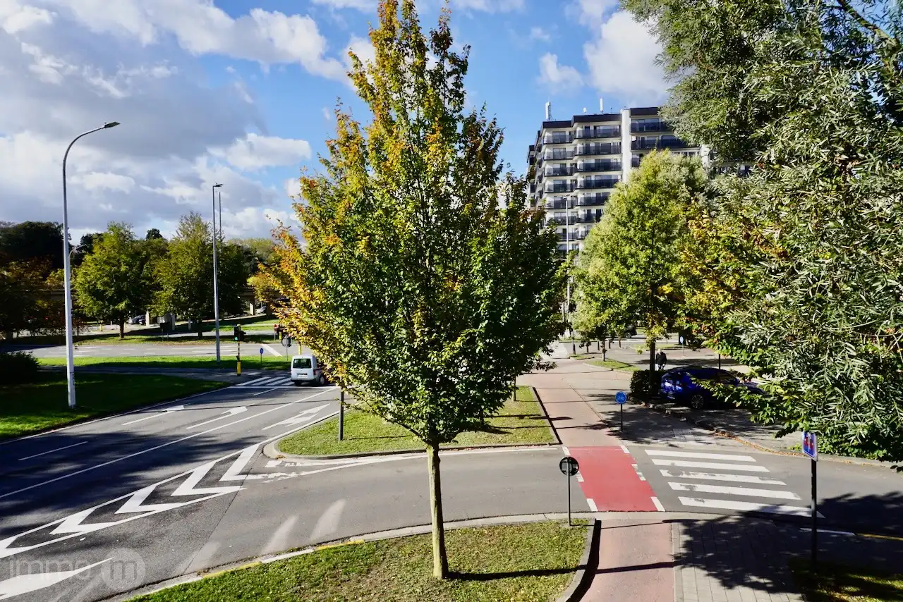 Gemeubelde studio 32m2 met aparte slaapkamer en open uitzicht – Tervuursevest Leuven foto 10