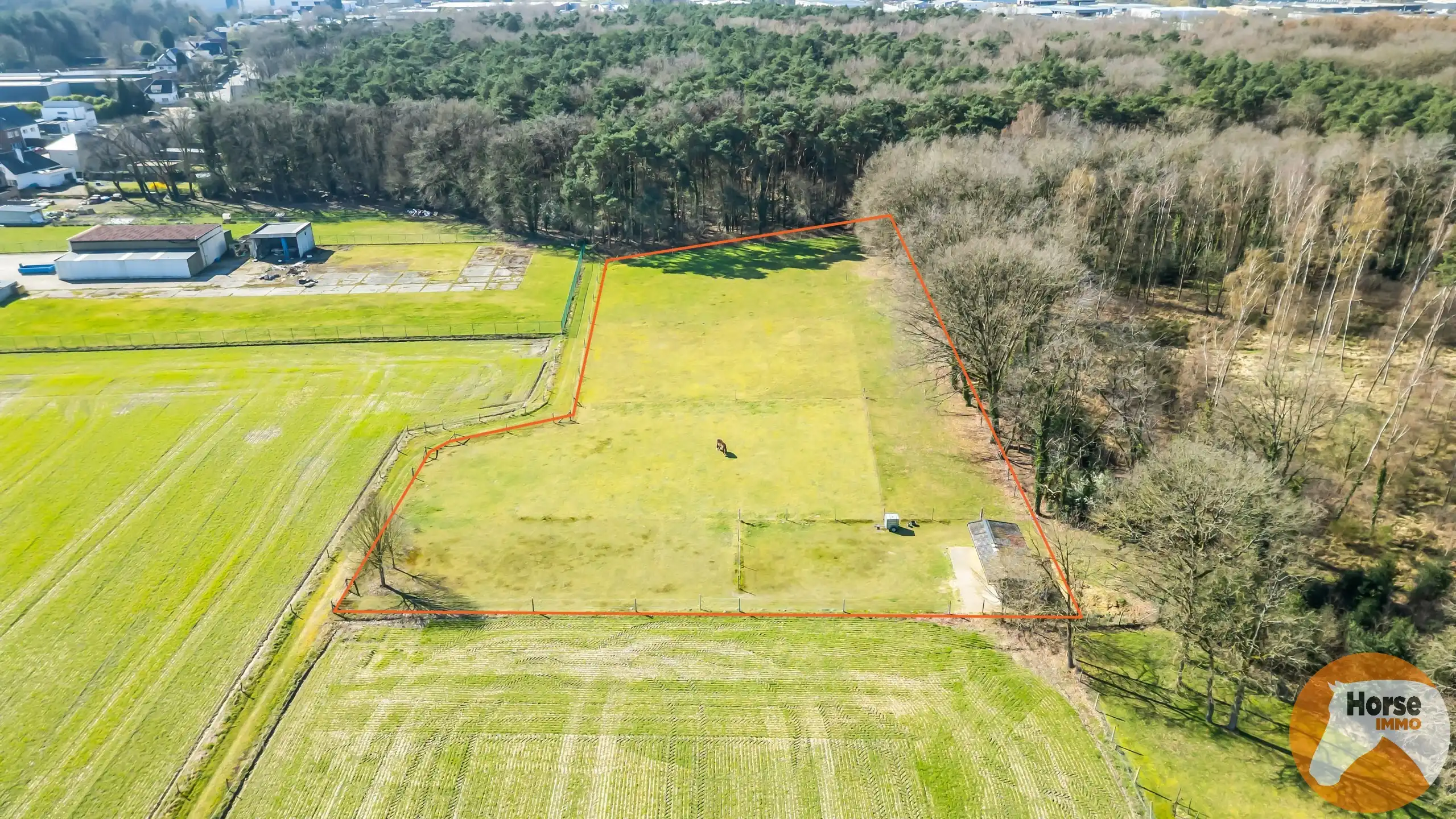 OPGLABBEEK - Gezinswoning met tuin, weide en paardenstallen  foto 2