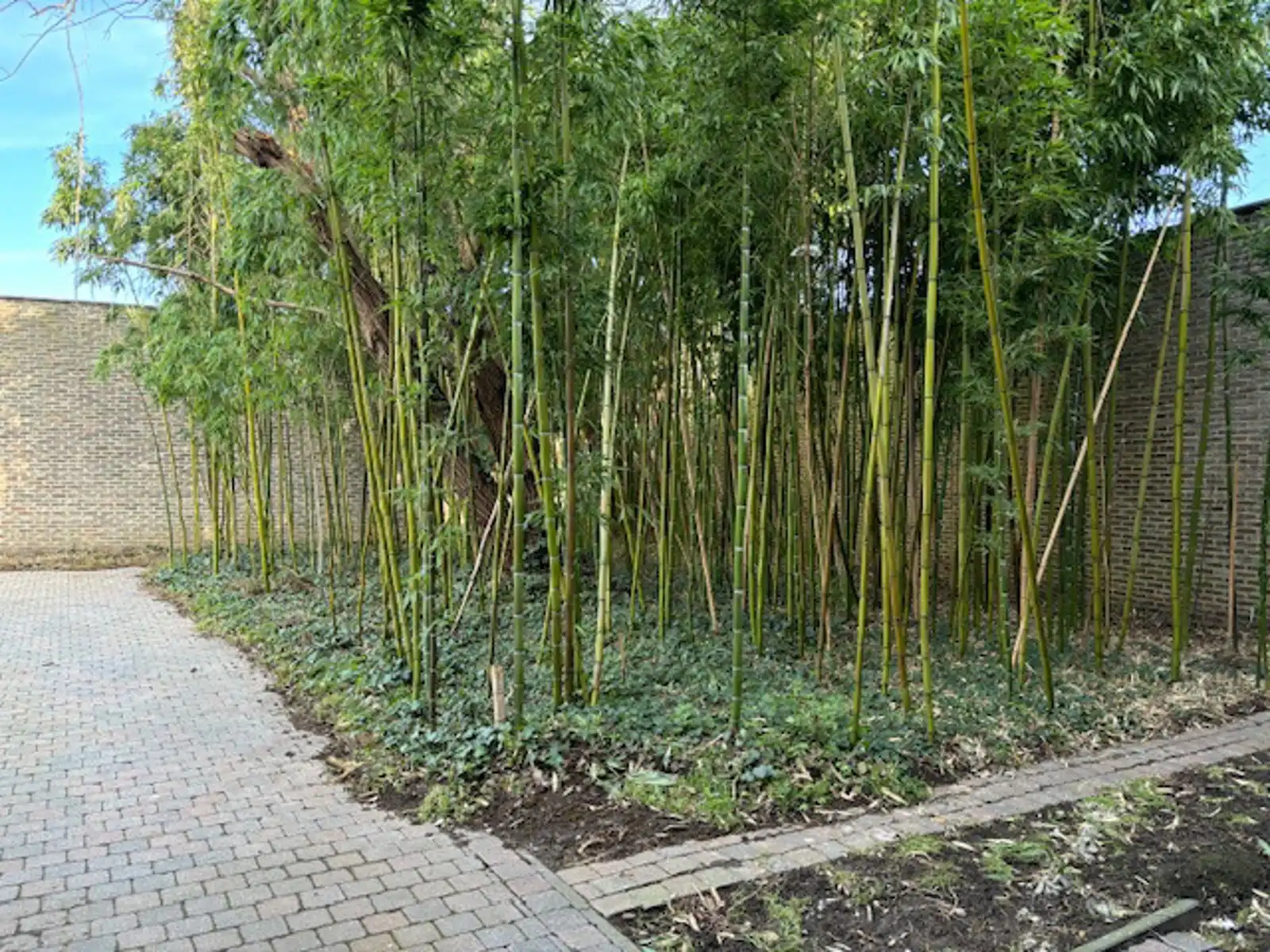 Herenwoning met inrijpoort te Tienen foto 11