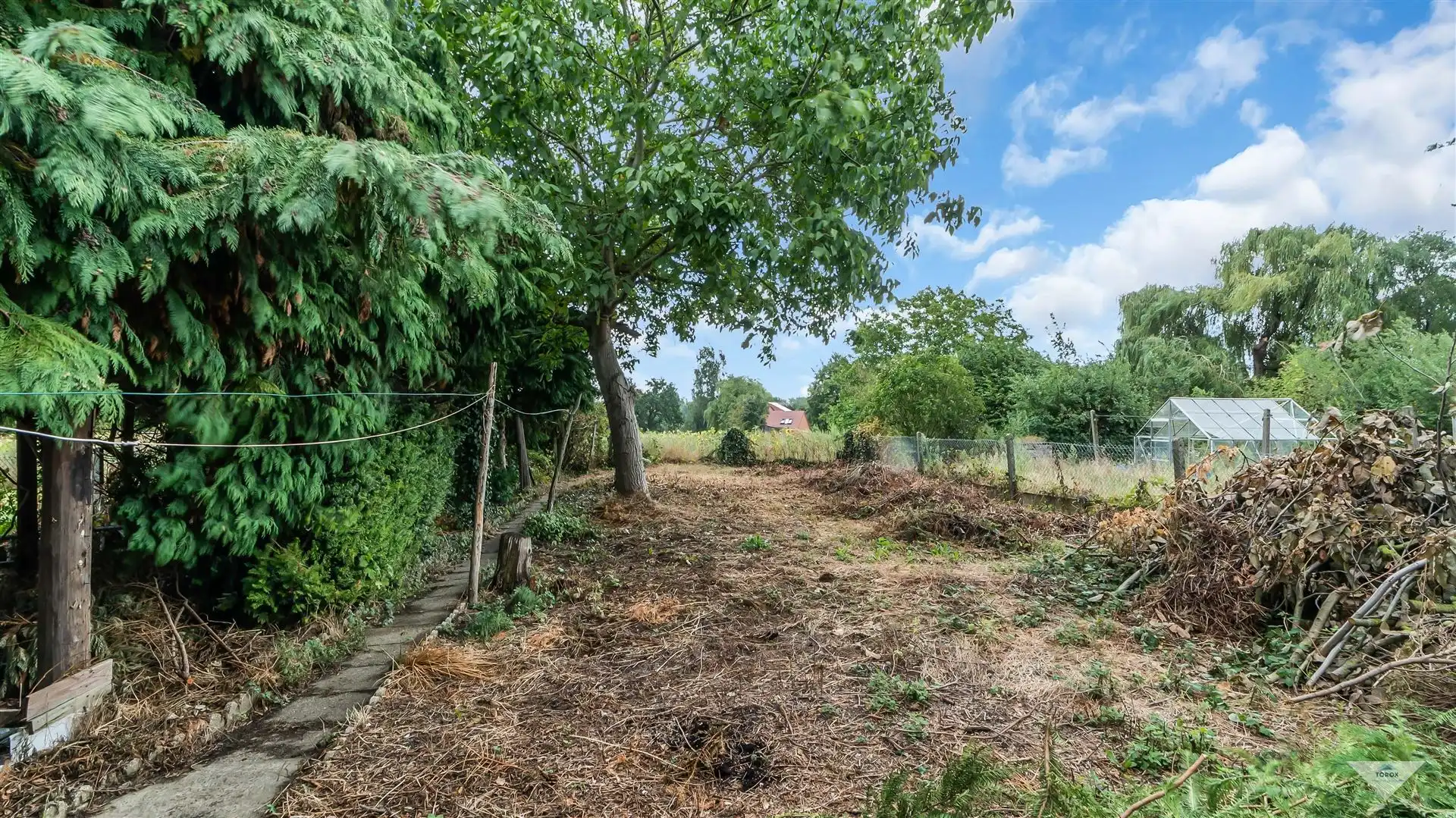 Renovatiewoning te koop in Bierbeek foto 13