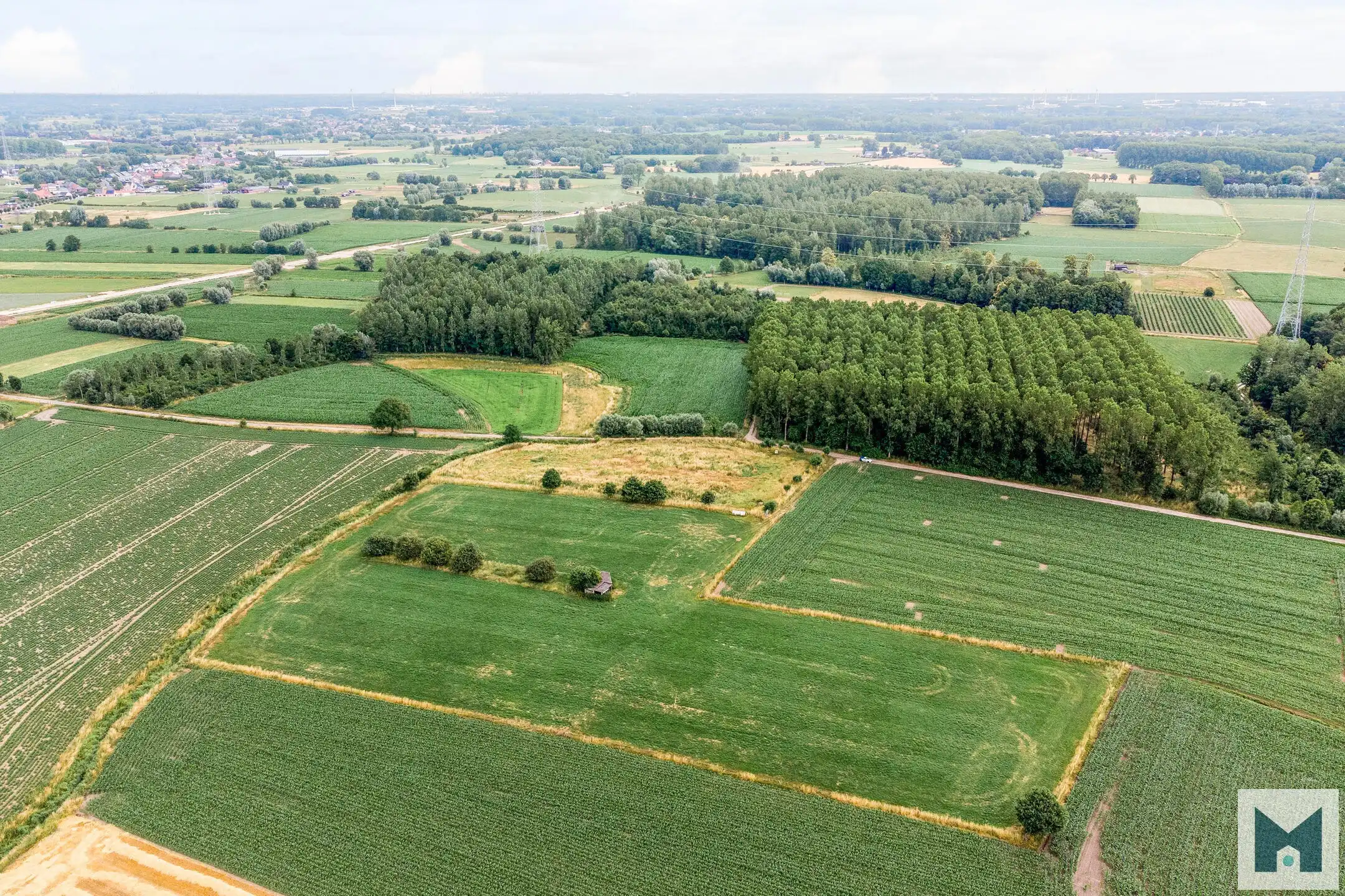 Prachtig weiland van maar liefst 1,864 hectare!  foto 5