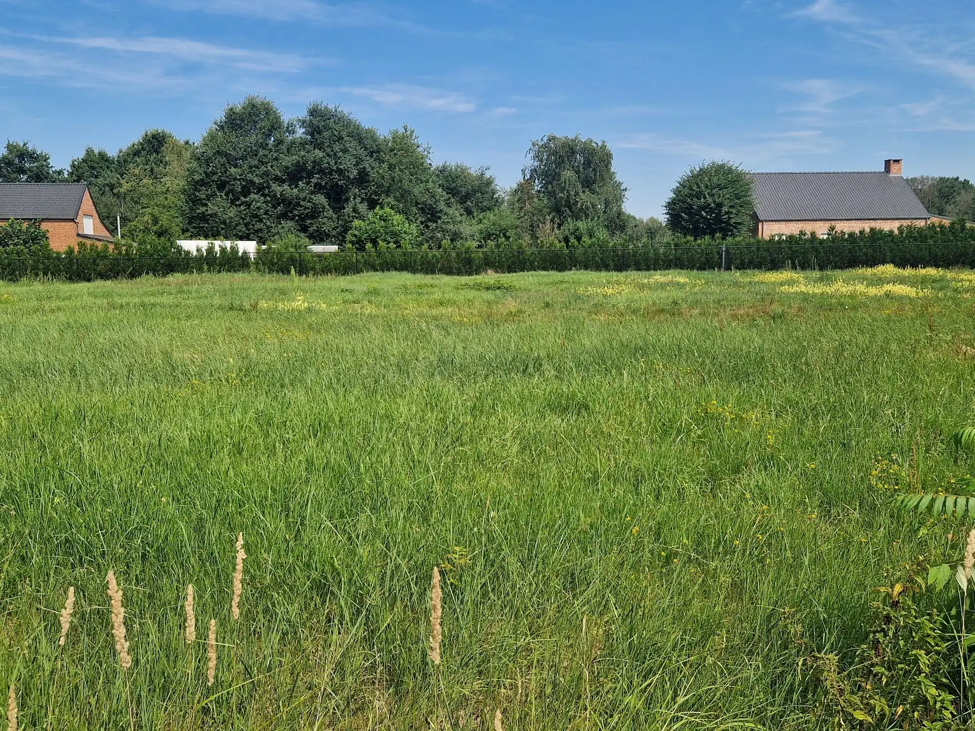 Mooie bouwgrond voor open bebouwing op 1035m² gelegen te Schriek foto 2
