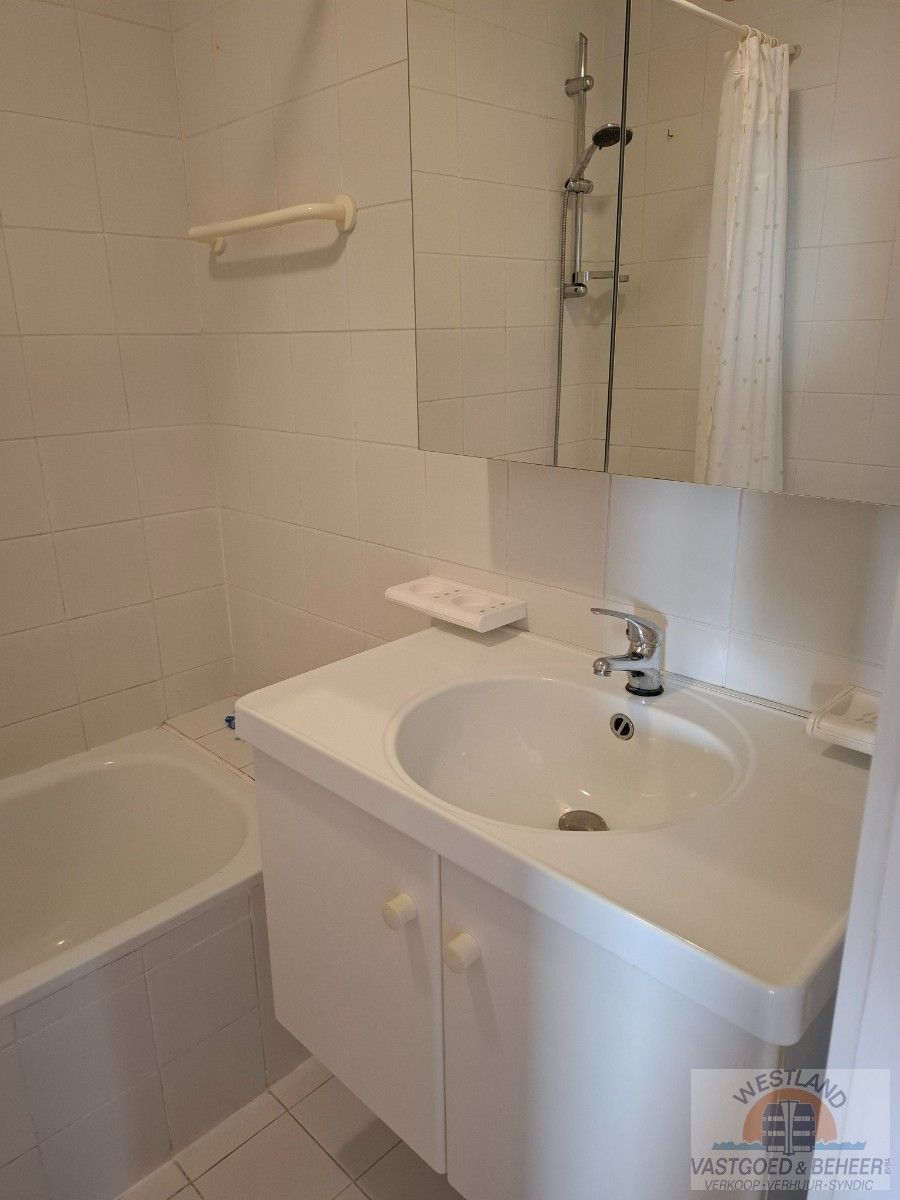 Appartement met groot terras op de zeedijk foto 9