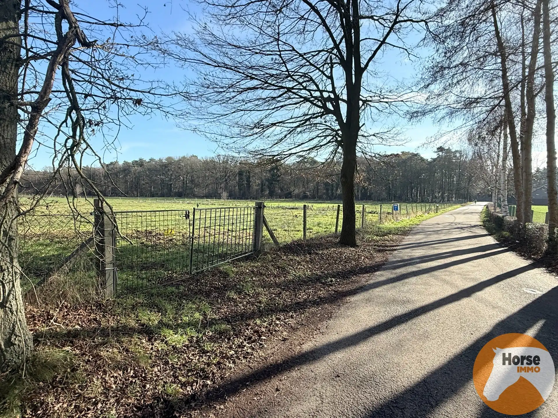 HELCHTEREN - Weiland met schuilstallen nabij ruiterpaden foto 3