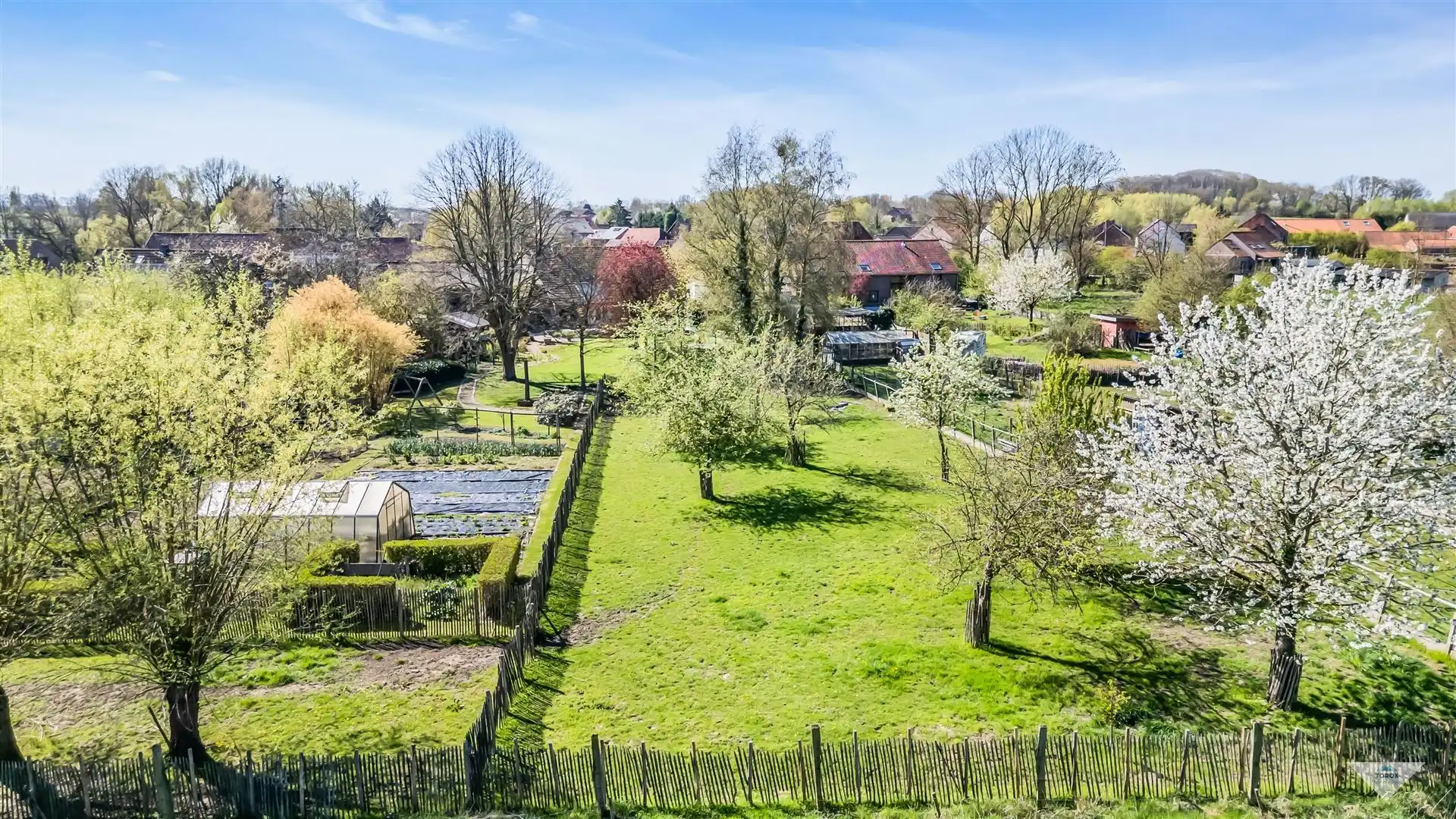 Charmante hoeve met enorm potentieel in Bierbeek foto 6