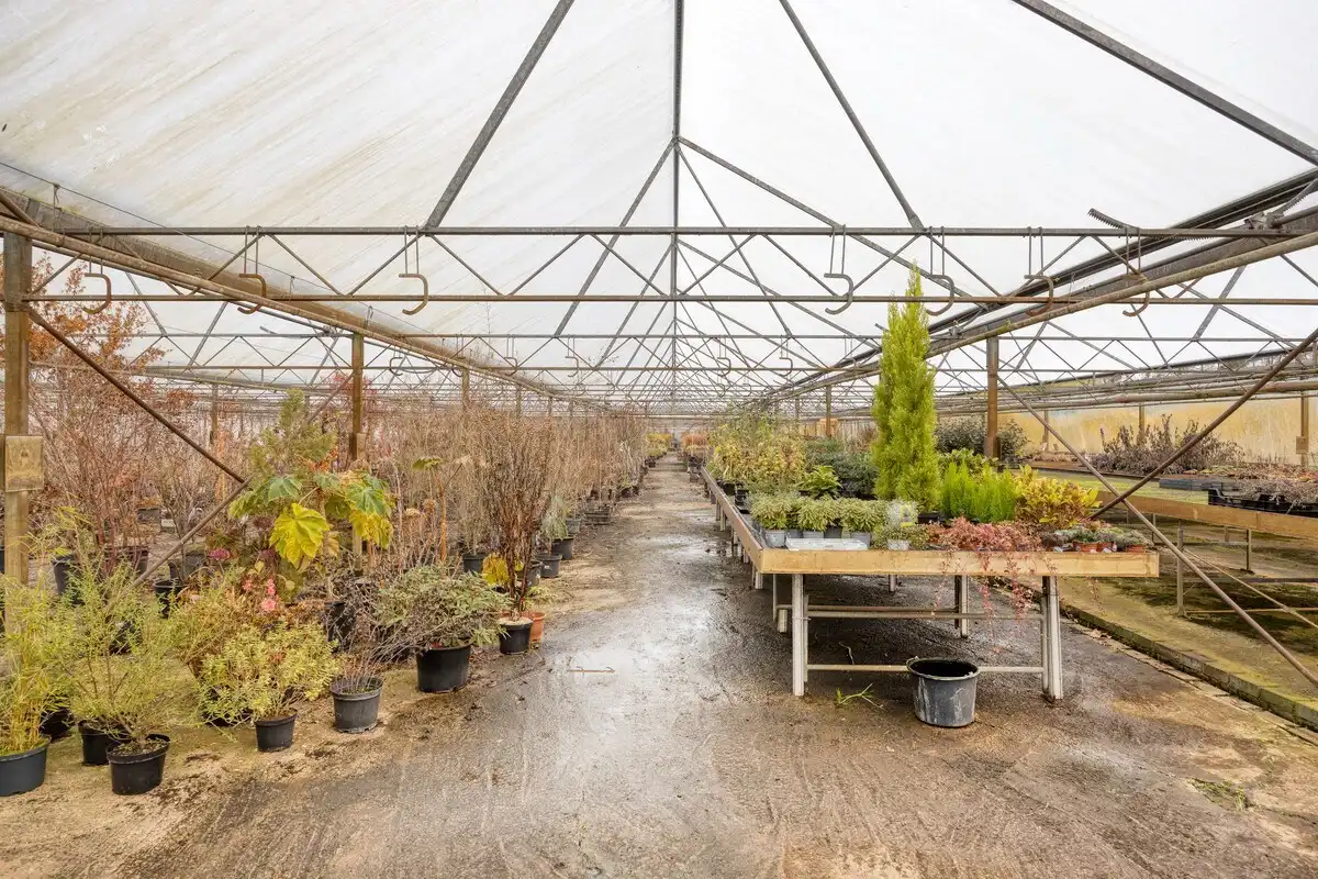 Tuinbouwcentrum met ruime woning op een perceel van 4,26 hectare foto 11