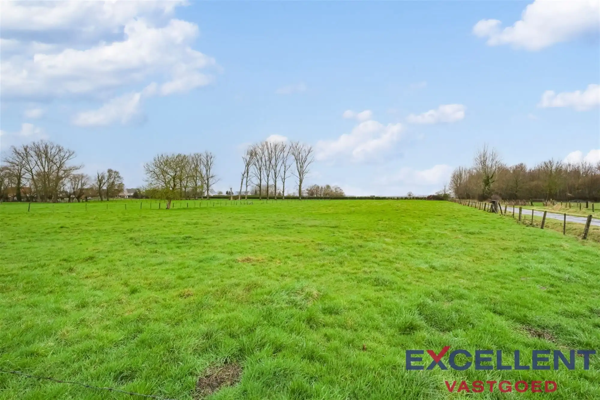 Weidegrond te Hundelgem foto 4